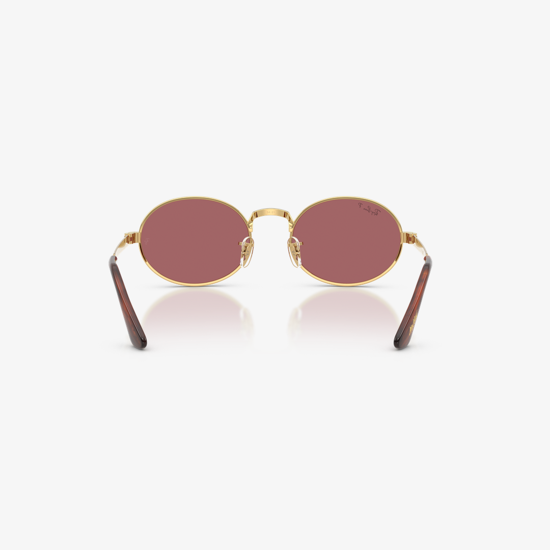 Syze dielli Ray-Ban A$AP ROCKY RB3931 001/AF 54mm
