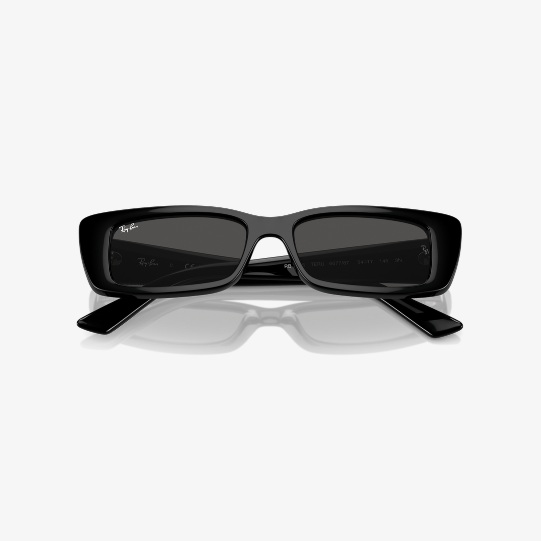 Syze dielli Ray-Ban TERU BIO-BASED RB4425 667787 54mm