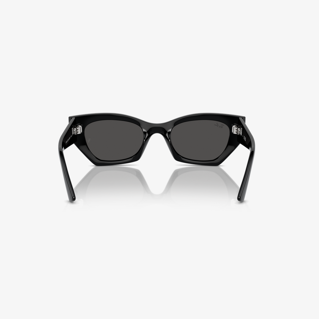 Syze dielli Ray-Ban ZENA BIO-BASED RB4430 667787 49mm