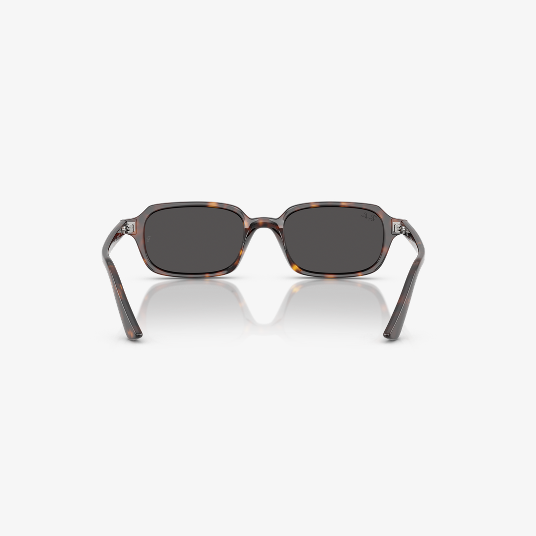 Syze dielli Ray-Ban ZURI BIO-BASED RB4455 135987 49mm