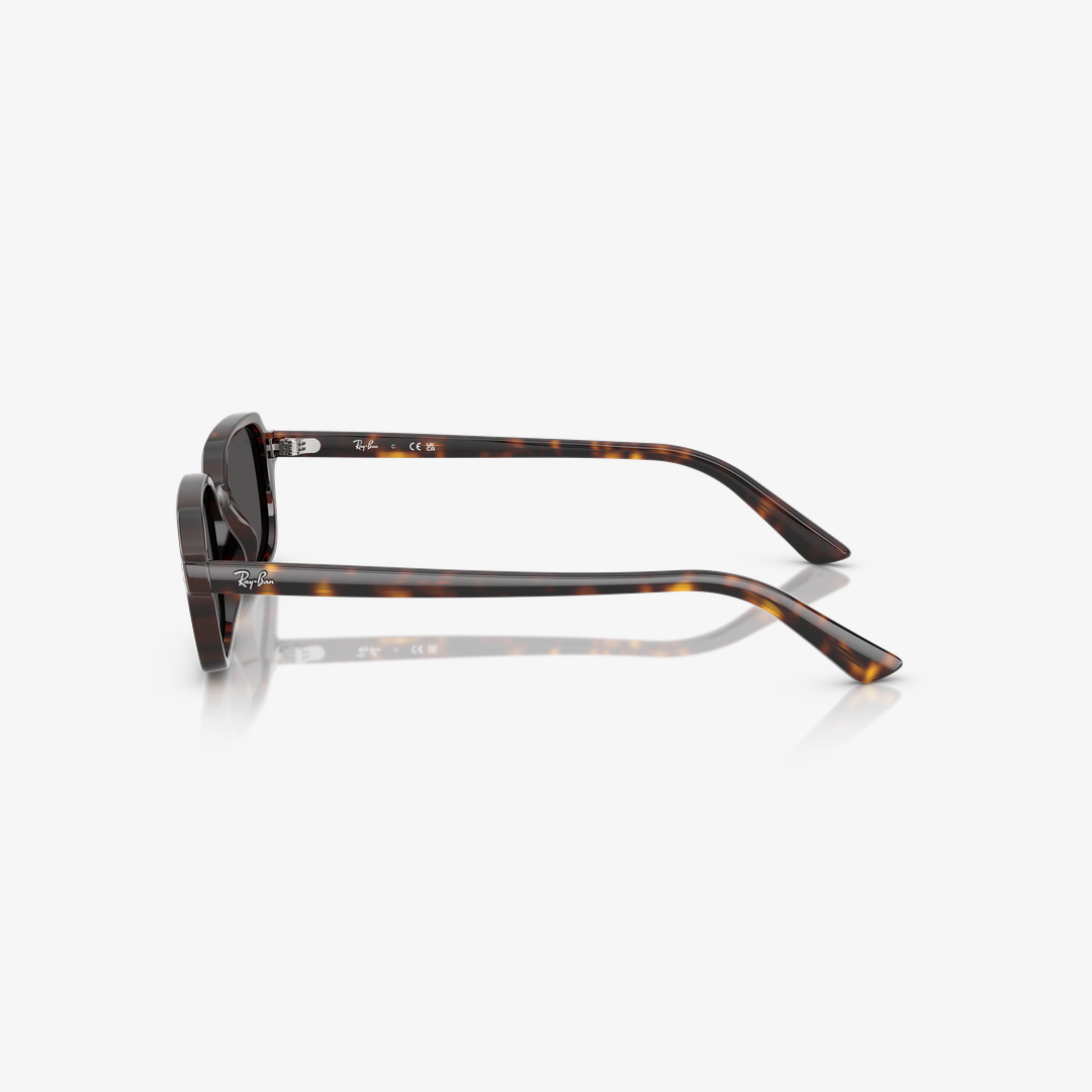 Syze dielli Ray-Ban ZURI BIO-BASED RB4455 135987 49mm