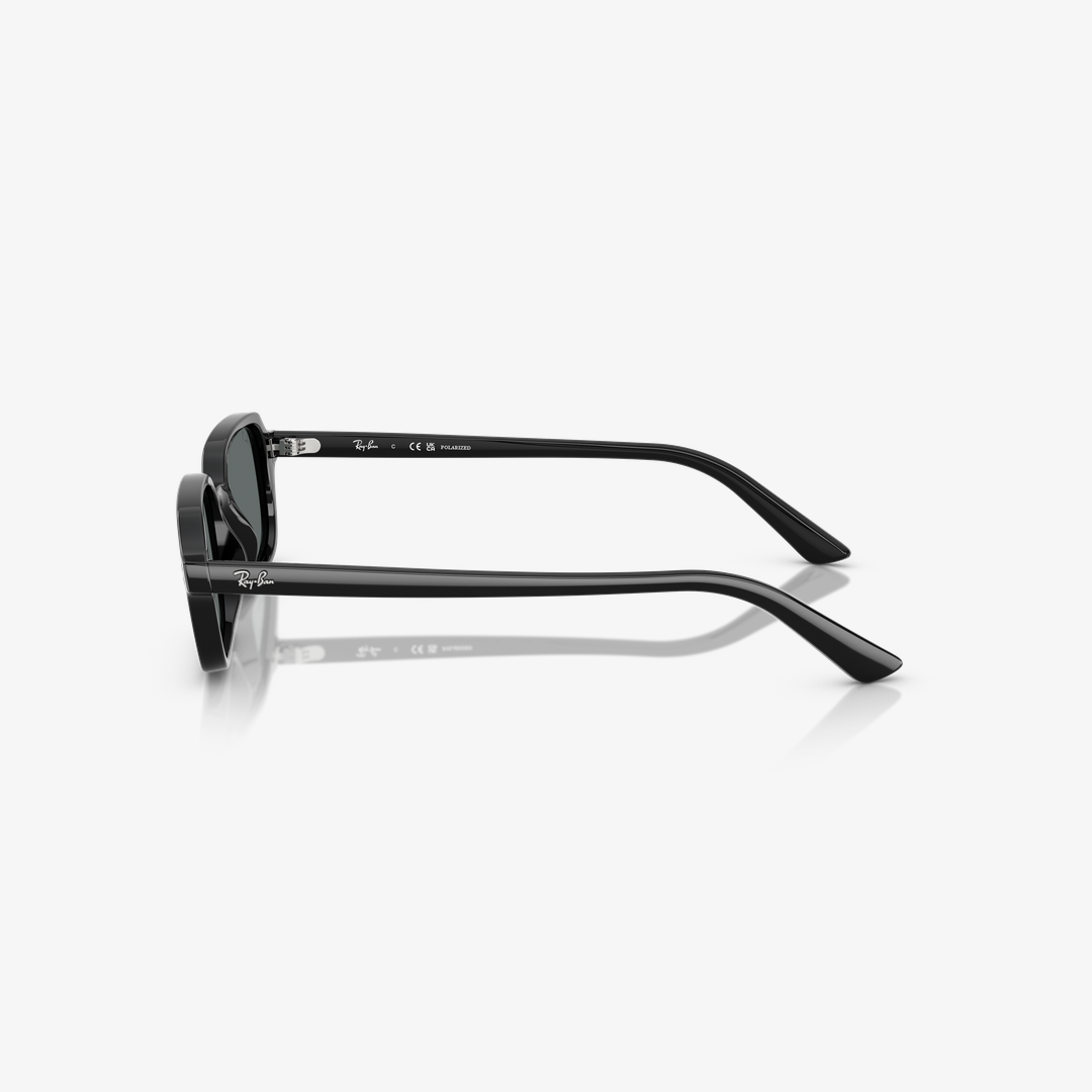 Syze dielli Ray-Ban RB4455 667781 49mm