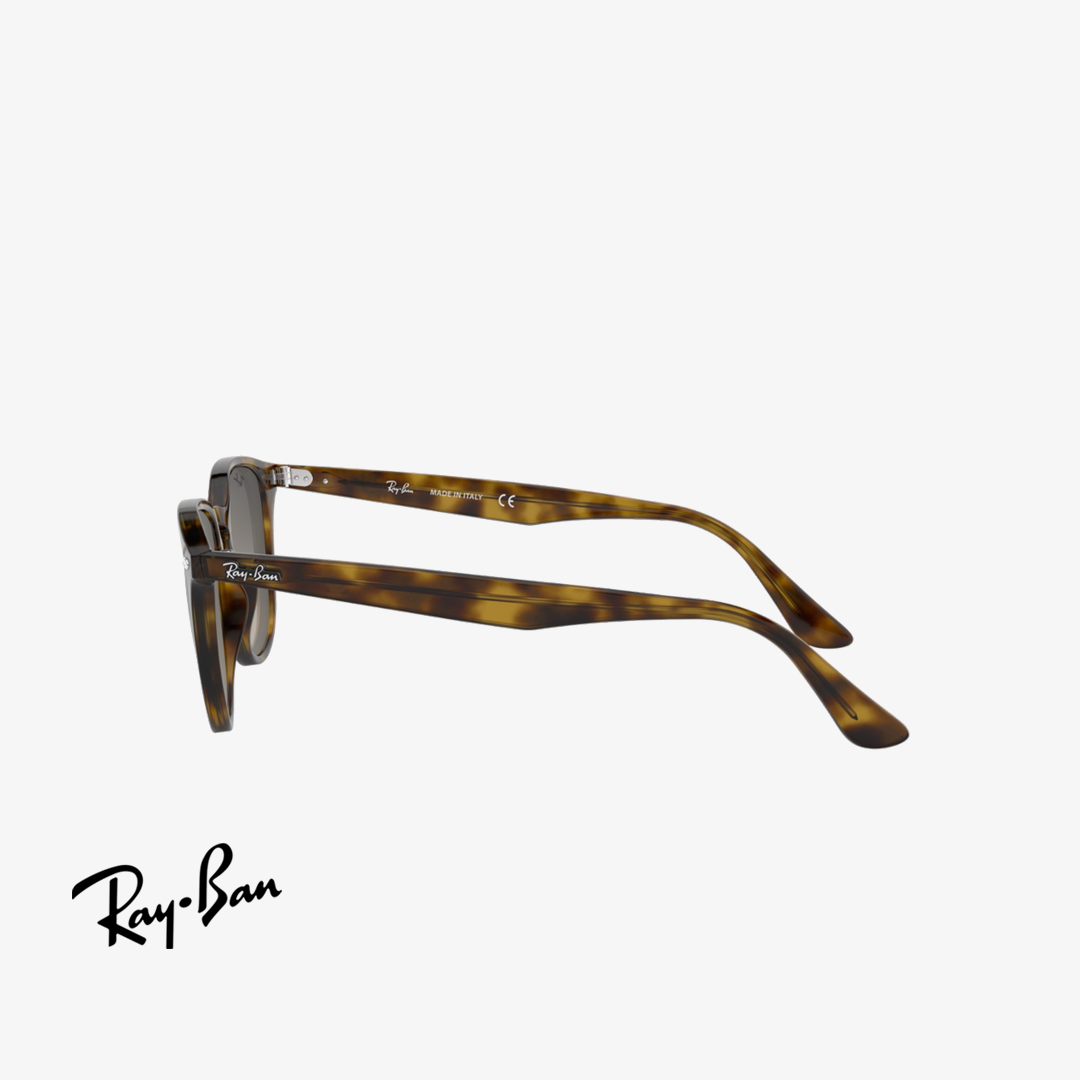 Syze dielli Ray-Ban RB4259 710/11 51mm