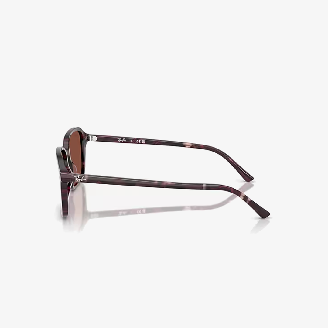 Syze dielli Ray-Ban BERNARD RB2231 1416C5 58mm