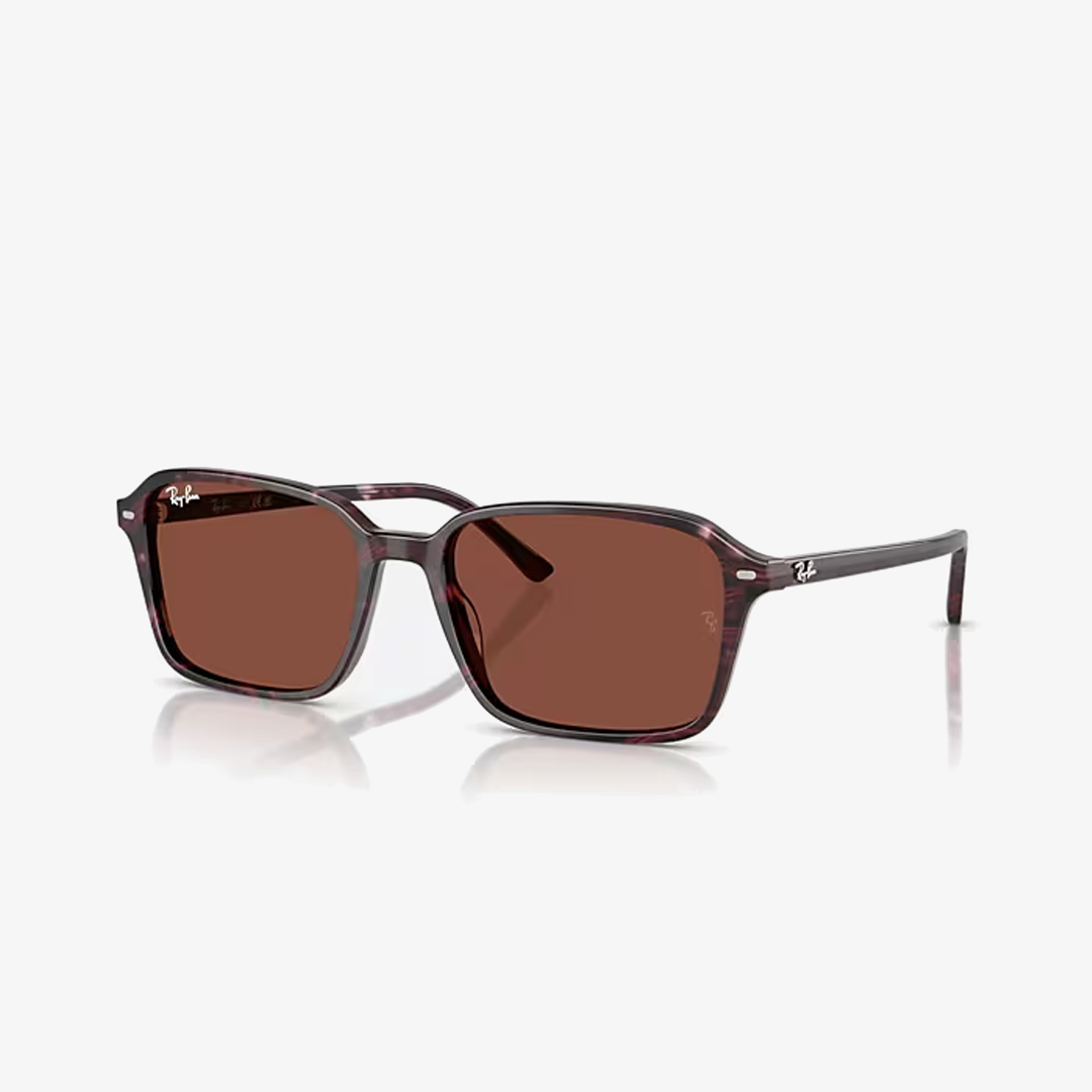 Syze dielli Ray-Ban BERNARD RB2231 1416C5 58mm