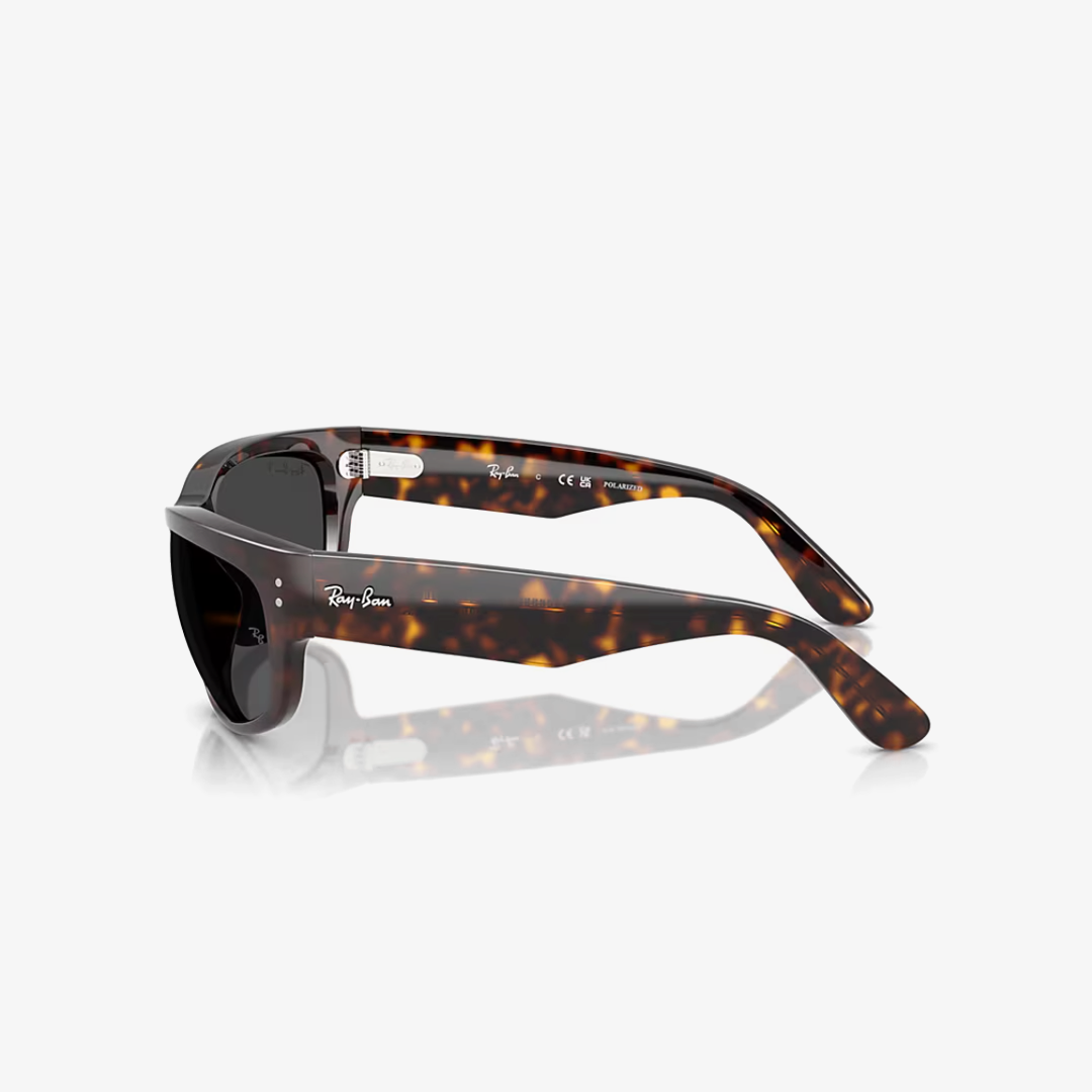 Syze dielli Ray-Ban MEGA BALORAMA RB2289 902/48 60mm