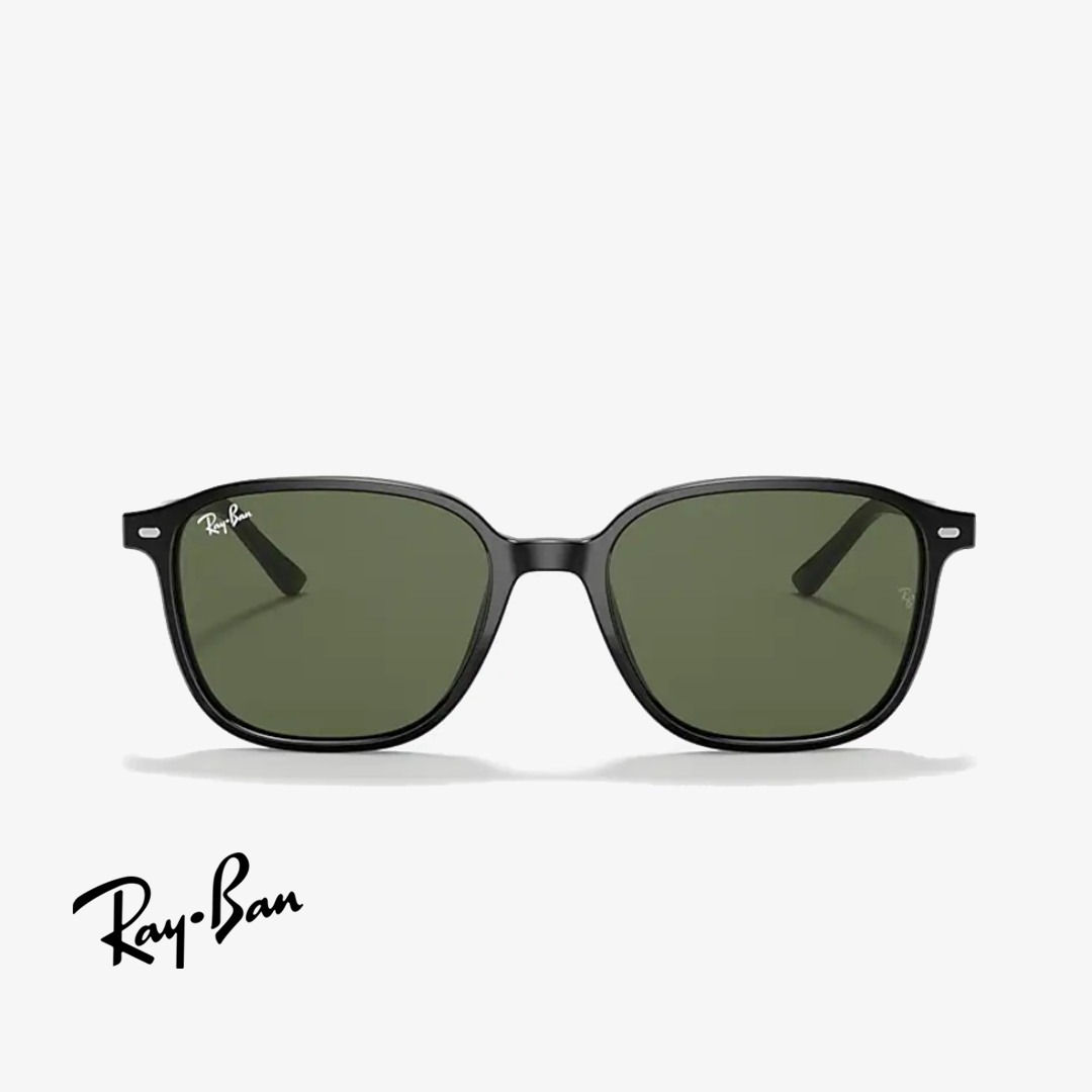 Syze dielli Ray-Ban LEONARD RB2193 901/31 51mm