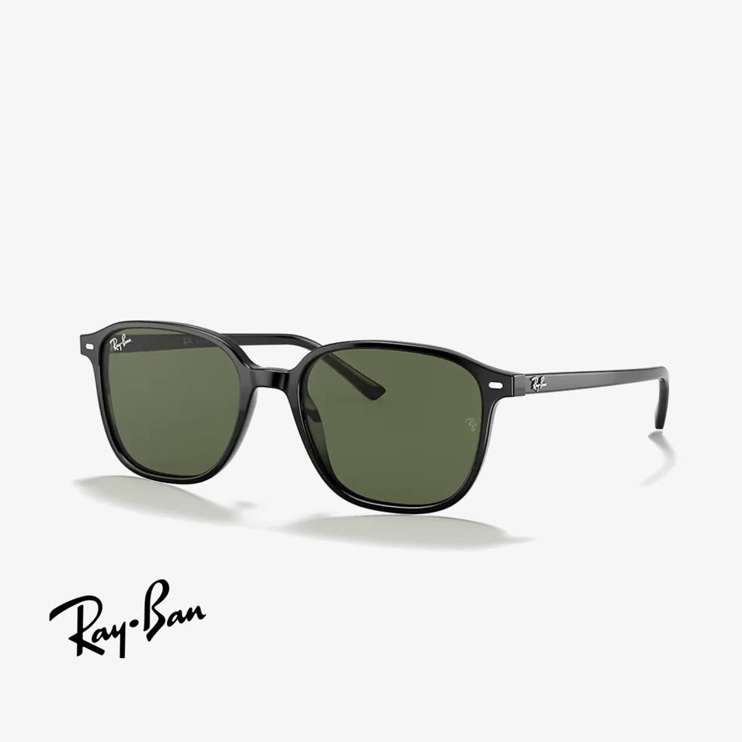 Syze dielli Ray-Ban LEONARD RB2193 901/31 51mm
