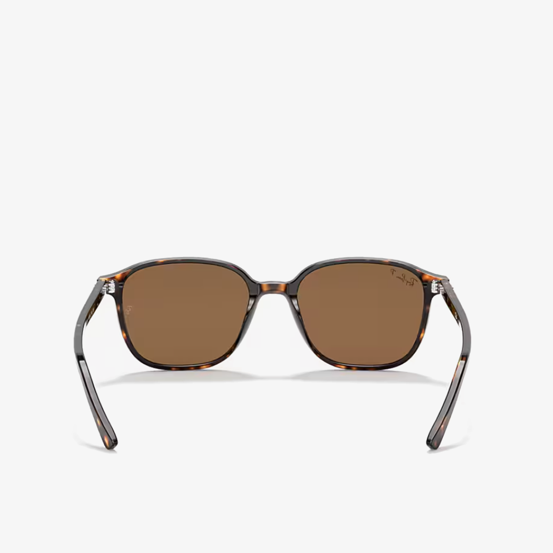 Syze dielli Ray-Ban LEONARD RB2193 902/57 53mm