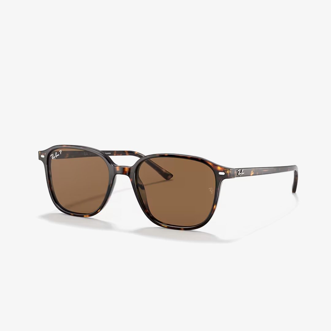 Syze dielli Ray-Ban LEONARD RB2193 902/57 53mm