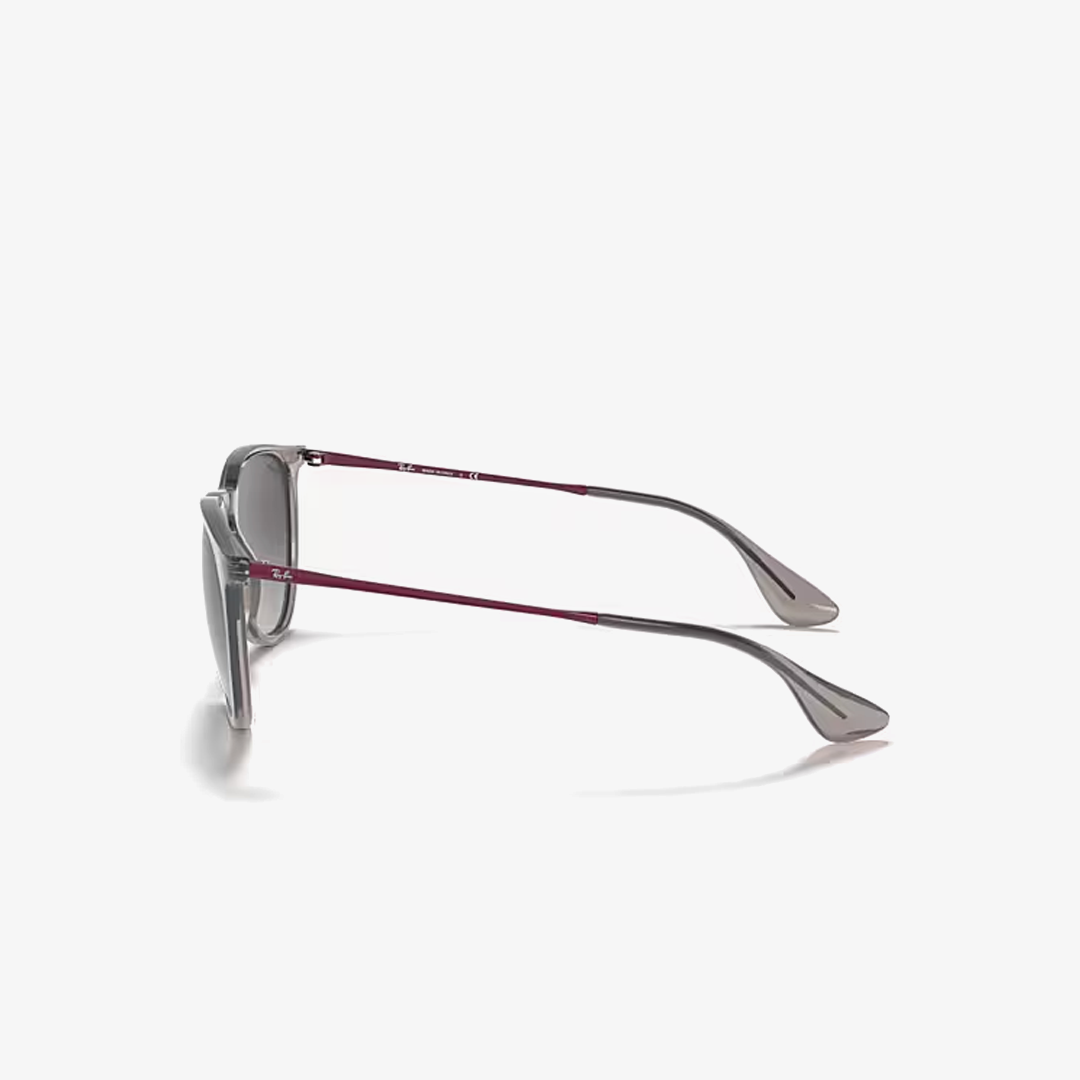 Syze dielli Ray-Ban ERIKA COLOR MIX RB4171 65138G 54mm