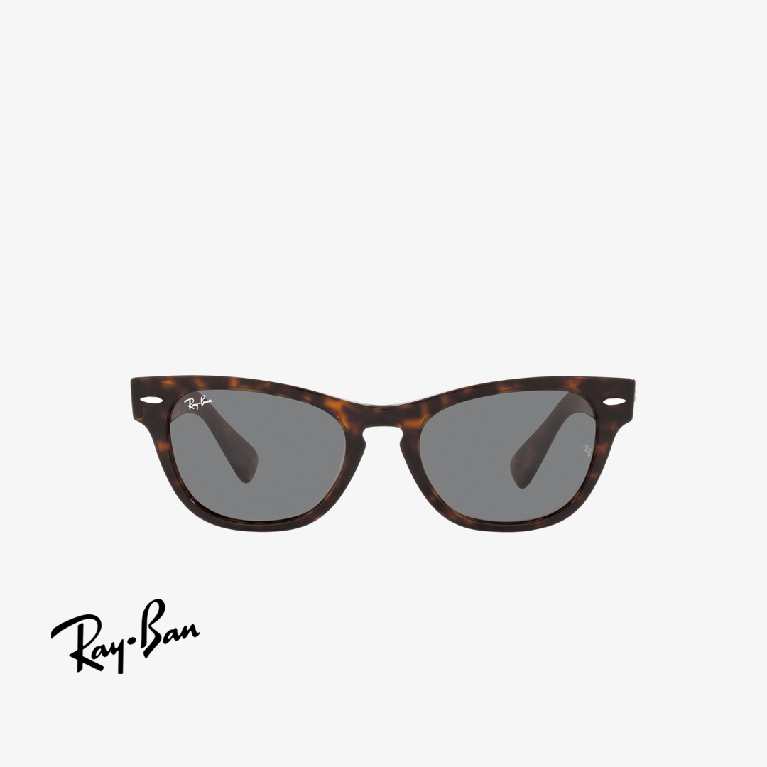 Syze dielli Ray-Ban LARAMIE RB2201 902/B1 54mm