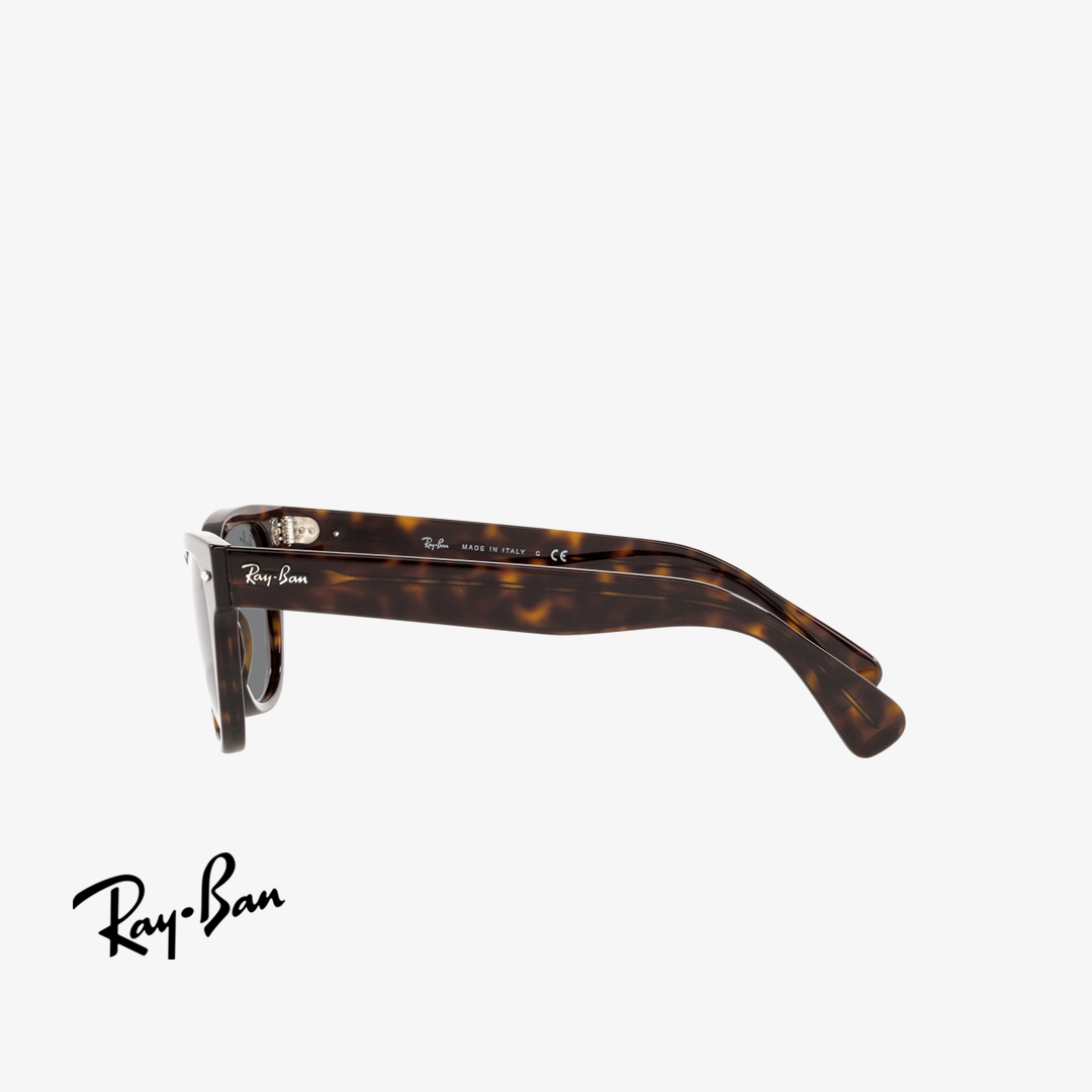Syze dielli Ray-Ban LARAMIE RB2201 902/B1 54mm