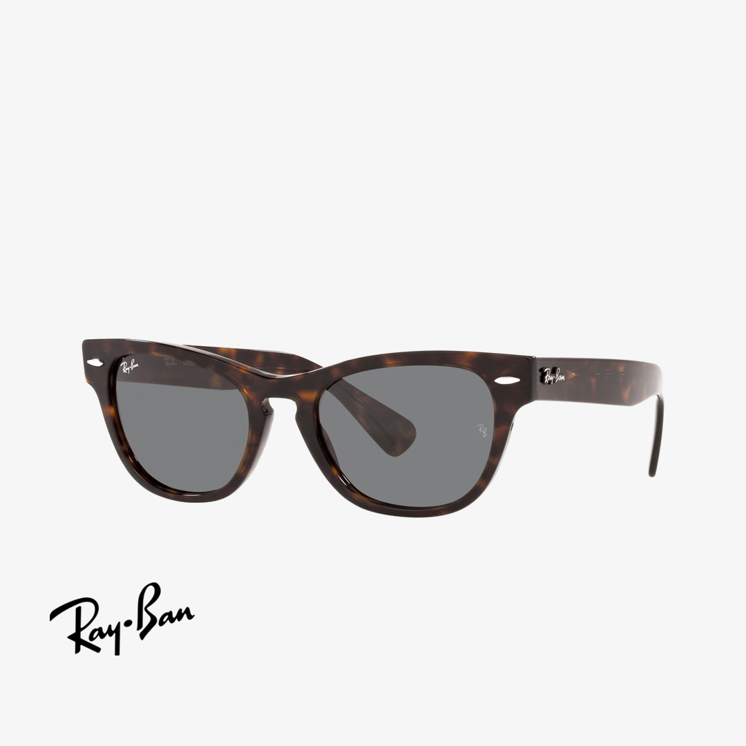Syze dielli Ray-Ban LARAMIE RB2201 902/B1 54mm